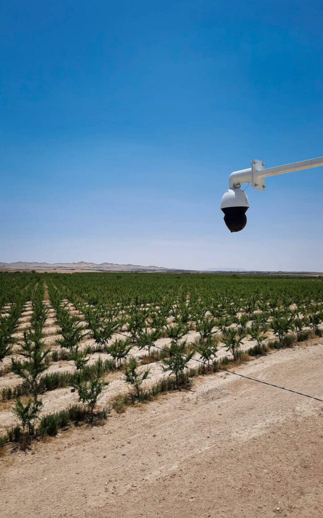 1b387c6a-fade-47ef-94d7-3a5453c6e95d